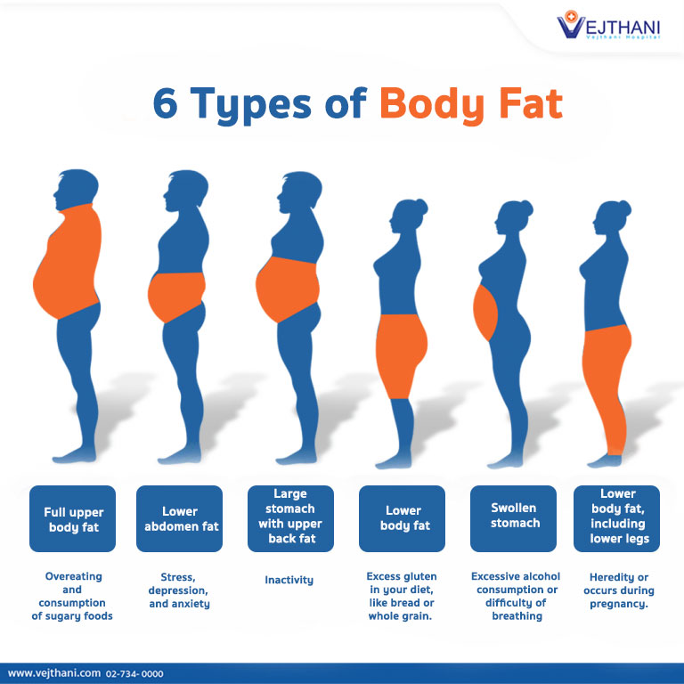 6 Types of Body Fat - Vejthani Hospital