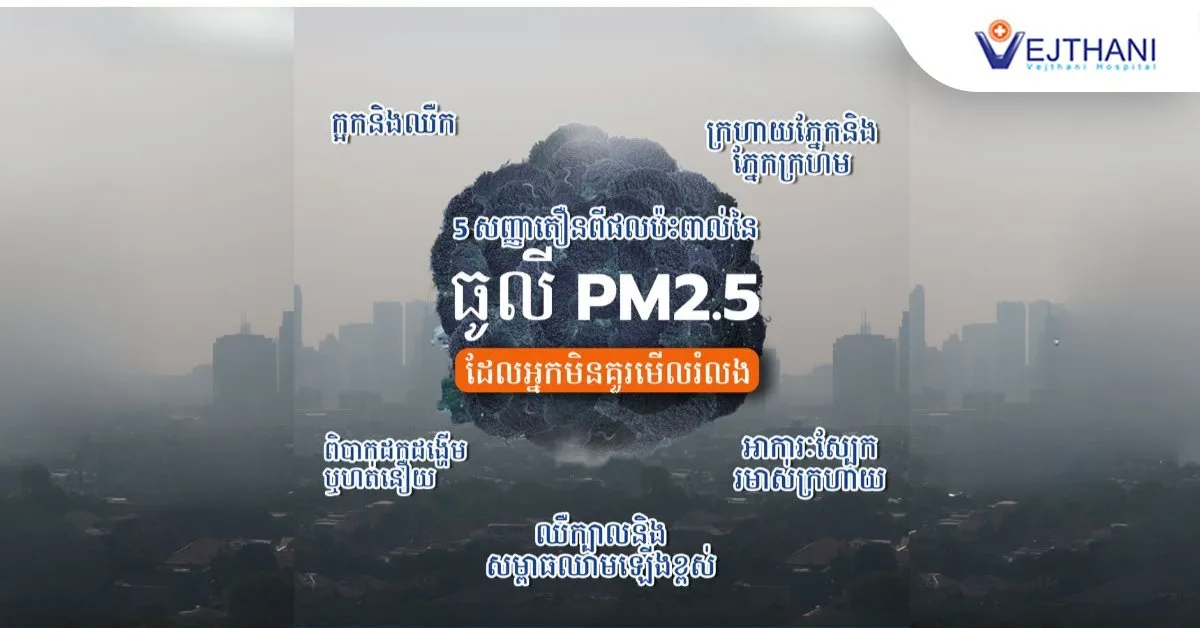 សញ្ញាព្រមានទាំង ៥ នៃផលប៉ះពាល់ពីធូលី PM2.5 ដែលអ្នកគួរតែដឹង